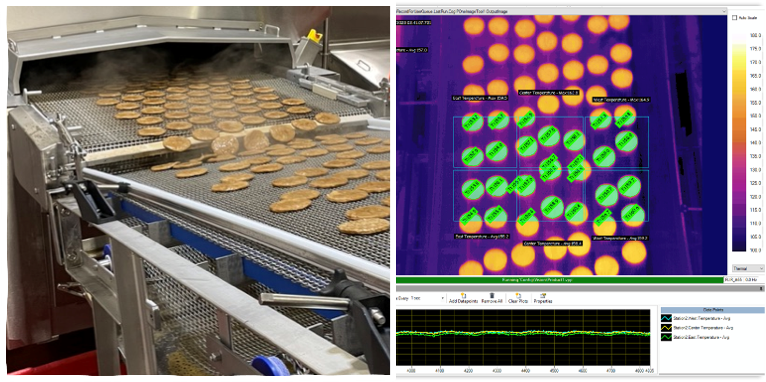 Thermal Image - Sausage Patties