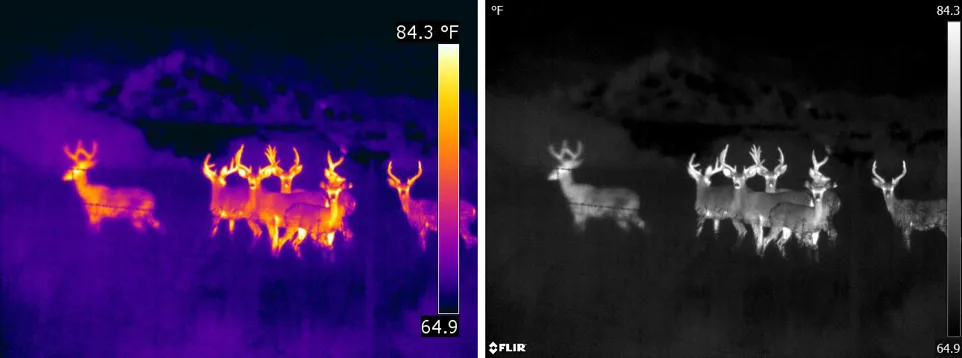 The same image with heat differences displayed in the ironbow and white hot palettes: Early Fire Detection with Thermal Imaging.